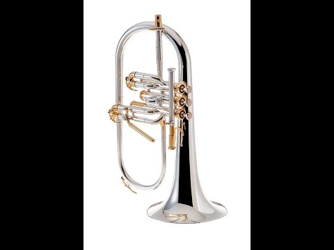 Ray Farr Concerto de aranjuez- played on Ray Farr Signature Flugel. - YouTube