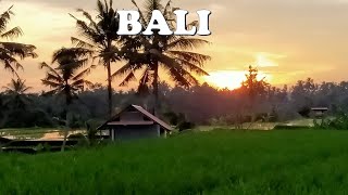 DI BALI MENIKMATI SENJA DI TEPI SAWAH| HATI SERASA TEDUH DAN TENANG| DIAN CHERRY