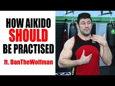 Solving Aikido • How Aikido SHOULD Be Practised • Ft.  DanTheWolfman