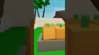 irmãs probres da roça ajudadora @professorrenatosilva5461