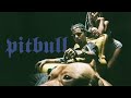 Maquiny ft. Azevedo, BIN - PITBULL (prod. Ajaxx)