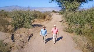 VALLE FÉRTIL, ATACAMA MAYO 2020
