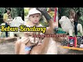 Kebun binatang  lagu anak indonesia