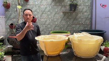 Tròn 50 Việt Nam ; Tròn 50 Trung Quốc (( Khuôn Tốt Giá Lại Đẹp)) Tại Trung Sơn.