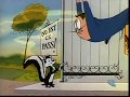 Un Skunk de pew! (Pepe Le Pew Compilation)