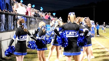 Thumbnail of LA Band Plays "Cheeseburger in Paradise"