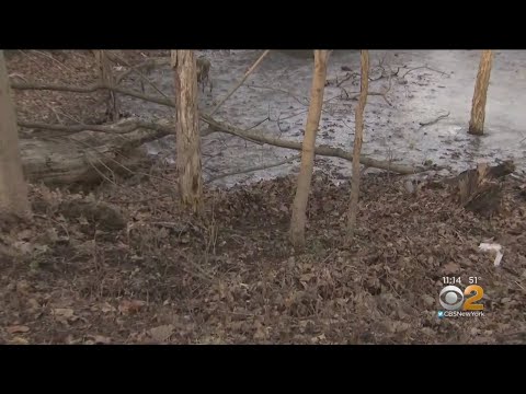 Greenwich Ct Death