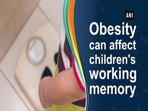 Obesity can affect children&rsquo;s working memory