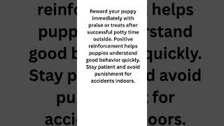Easy Dog Training Tips for Fast Puppy Potty Training #shorts