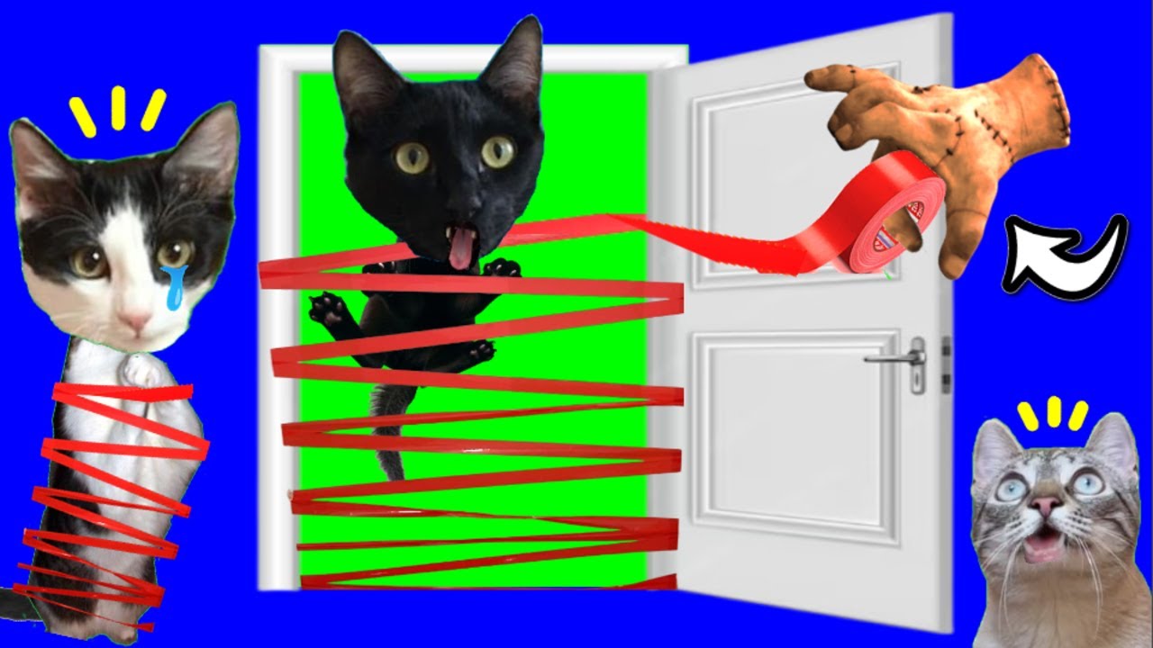 JUEGOS PARA GATOS Y BROMAS DE HALLOWEEN VS LA MANO DE LA FAMILIA ADDAMS / VIDEOS DE LUNA Y ESTRELLA