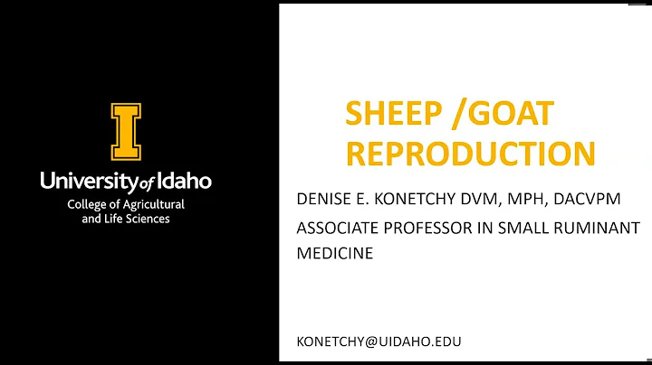 Identifying and Managing Lambing and Kidding Complications