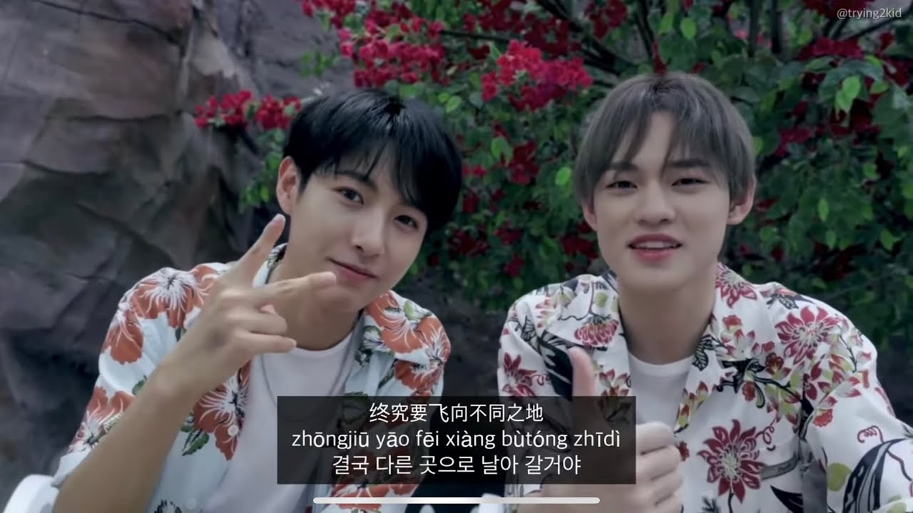 한글자막 | NCT DREAM 런쥔 천러 新的开始(새로운 시작) FMV