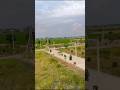 Beautiful weather #my village #trending shorts#nature