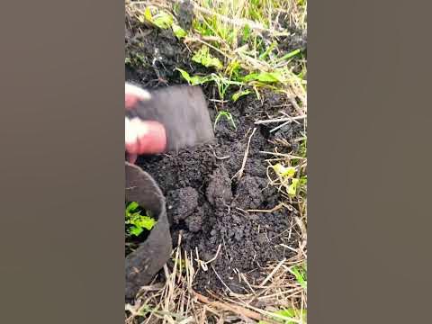 Союз "НЕРУШИМЫЙ" республик свободных... - YouTube