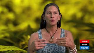 Marijuana and Guns (Cannabis Chronicles)