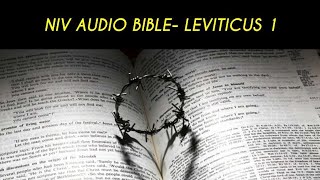LEVITICUS 1 NIV AUDIO BIBLE (with text)