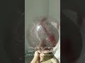 Eanjia Holographic laser glitter balloons