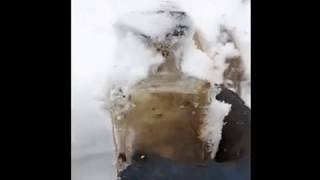 Stream Antique Bottle Dump Dig #4 ~ Pepsi Cola 1940-1950s , Milk Jug early 1900s and more...