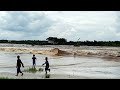 Kaget😱 anak-anak asik bermain dipantai sampai ga sadar Bono datang | 10 Nov 22