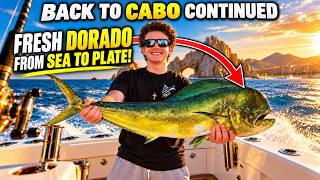 Full Cabo San Lucas 4.0 – Day 03 | 4 Dorado, Epic Fishing & Dinner in Cabo! News