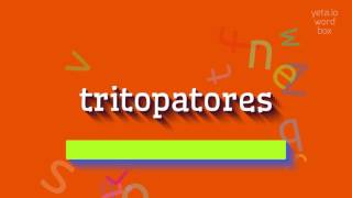 Tri̇topatörler Nasil Söyleni̇r? How To Say Tritopatores?