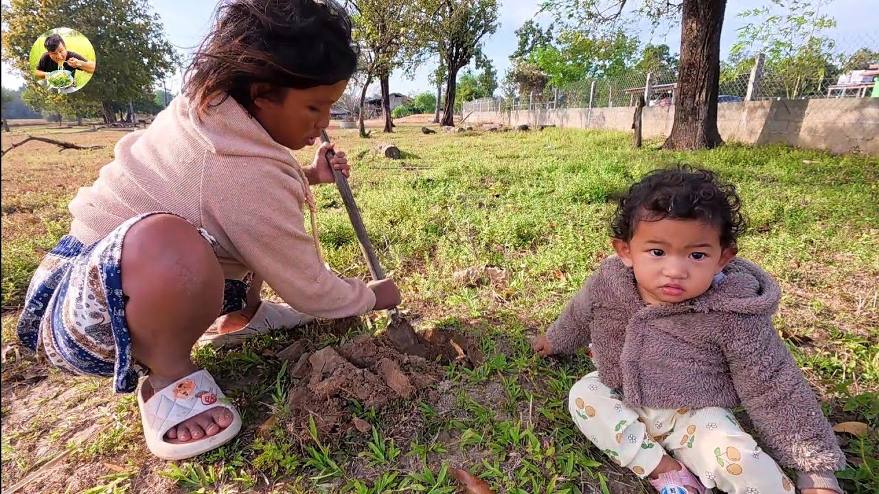 สาวพรกับลูกไปหาหลอกคนญี่ปุ่น ตามทุ่งไร่ทุ่งนา 23 พฤศจิกายน ค.ศ. 2025