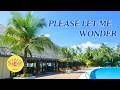 🌴 Tatsuro Yamashita - PLEASE LET ME WONDER 🌊