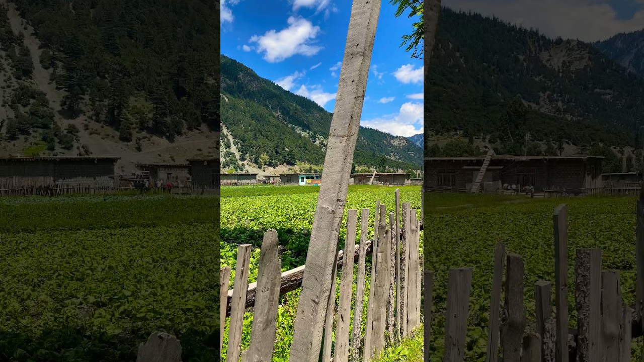 Swat valley most beautiful village           (-Must Watch like subscribe-)