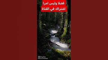 القرآن الكريم #اكسبلور #دويتو #رمضانمبارك #duet #تيك_توك #راحة_نفسية #لايك #ترند #لا #في