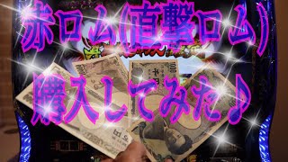 バジリスク絆(裏)フリーズ1G連が見たくて(赤ロム、直撃ロム)購入して