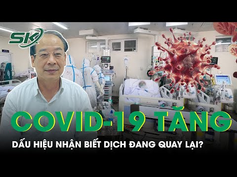 Video: 4 cách dễ dàng để tìm sự trợ giúp về tinh thần trong thời gian bùng phát Coronavirus