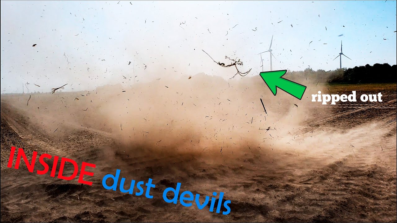 Chasing dust devils