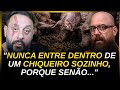 O lado sombrio dos porcos que você precisa saber