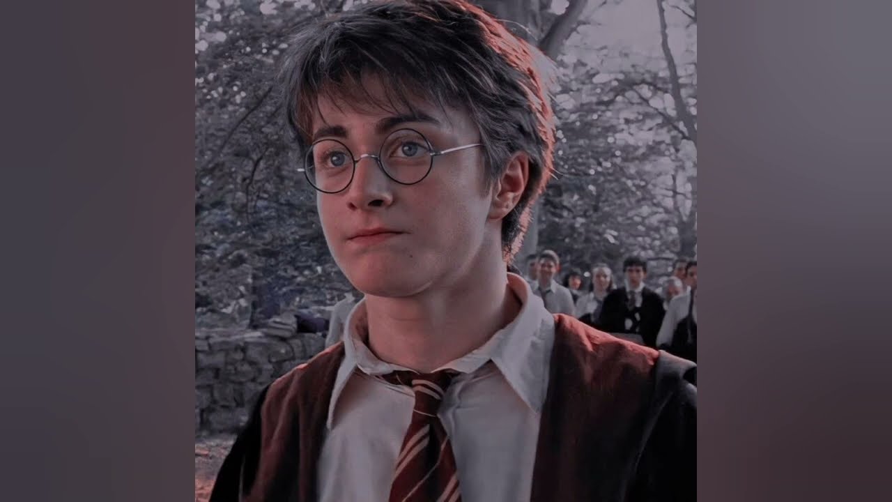 Y/n Malfoy 🐍 × Harry Potter 🗡 || Part 2 ||