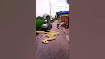 snake video #snake #cobra #vfx #wildlife #animals #viralvideo #nagin #anaconda #snakes #shorts