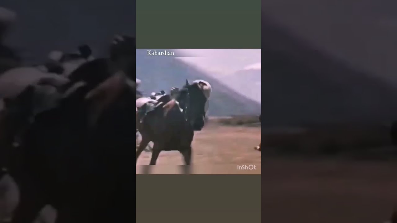 Порно Женщин С Конем Рассказ