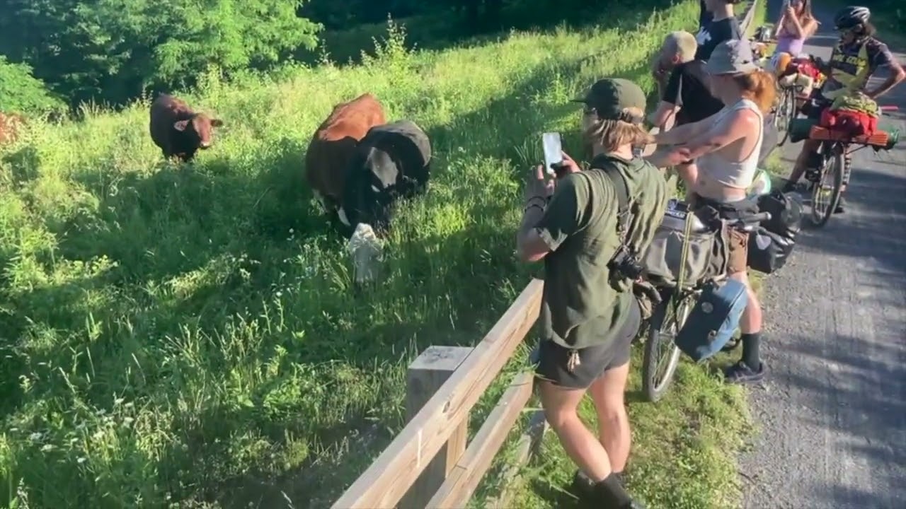 bike tour nyc to montreal