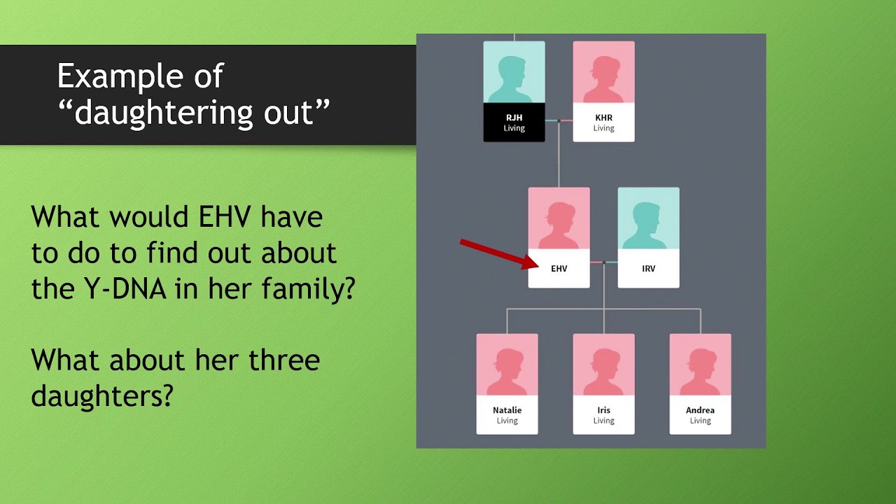 Y-DNA and Genetic Genealogy