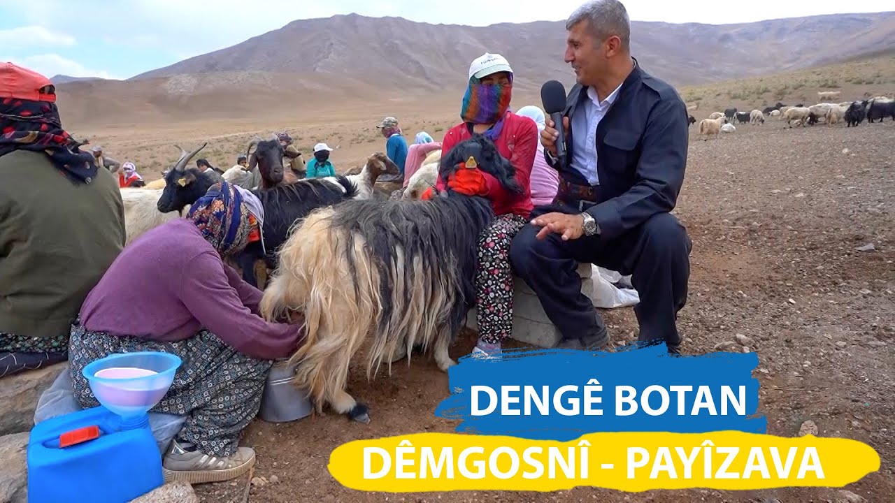 DENGÊ BOTAN - DÊMGOSNÎ / PAYÎZAVA