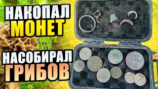 Накопал старинных монет и насобирал весенних грибов. Сморчки с металлоискателем