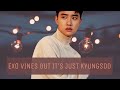 EXO vines but it’s just Kyungsoo pt.3