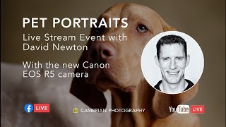 Pet Portraits with David Newton screenshot 3