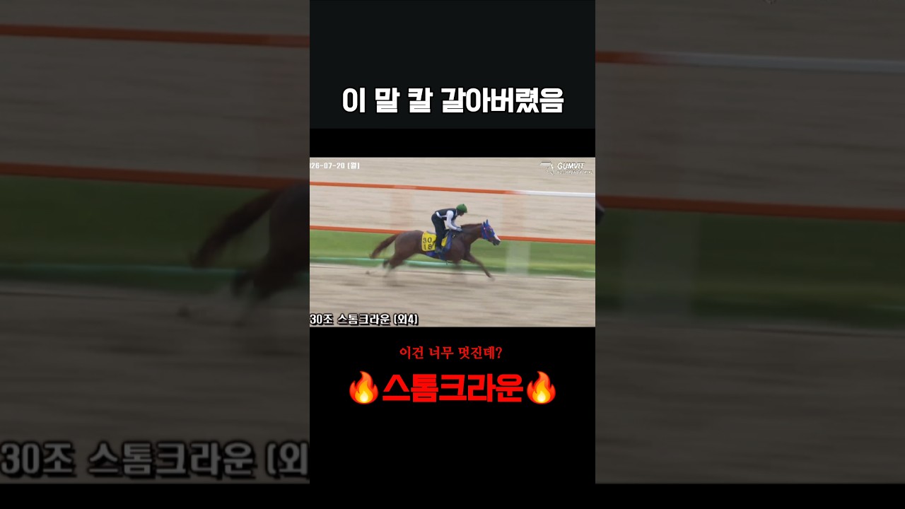 이번주 출전마 스톰크라운‼️ #토요서울7경주 #7번게이트 #이혁기수 #세상무섭게달릴예정☄️