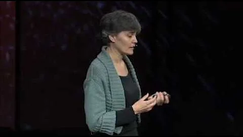 Robin Chase: Getting cars off the road and data in...