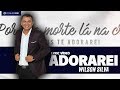 Wilson Silva | Adorarei (Lyric Video)