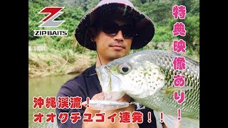 沖縄渓流 オオクチユゴイゲーム ZBLクロストリガーで連発!!