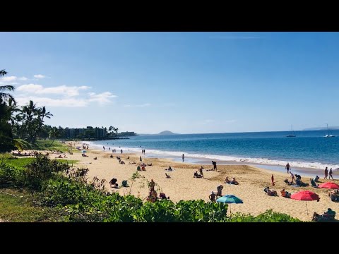 🌴🅻🅸🆅🅴🌴Hawaii Beach Sound🔊from Kihei Maui Island🤿Kamaole Beach Park🩳👙Webcam🌞🏄🏼