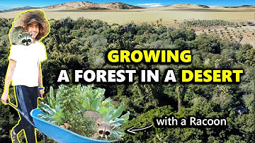 How This Family Transformed Desert Into Lush Forest [PART ONE]