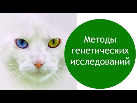 Методы генетических исследований