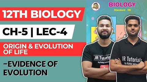 12th Biology | Chapter 5 | Origin & Evolution of Life | Lecture 4 | Evidence of Evolution |